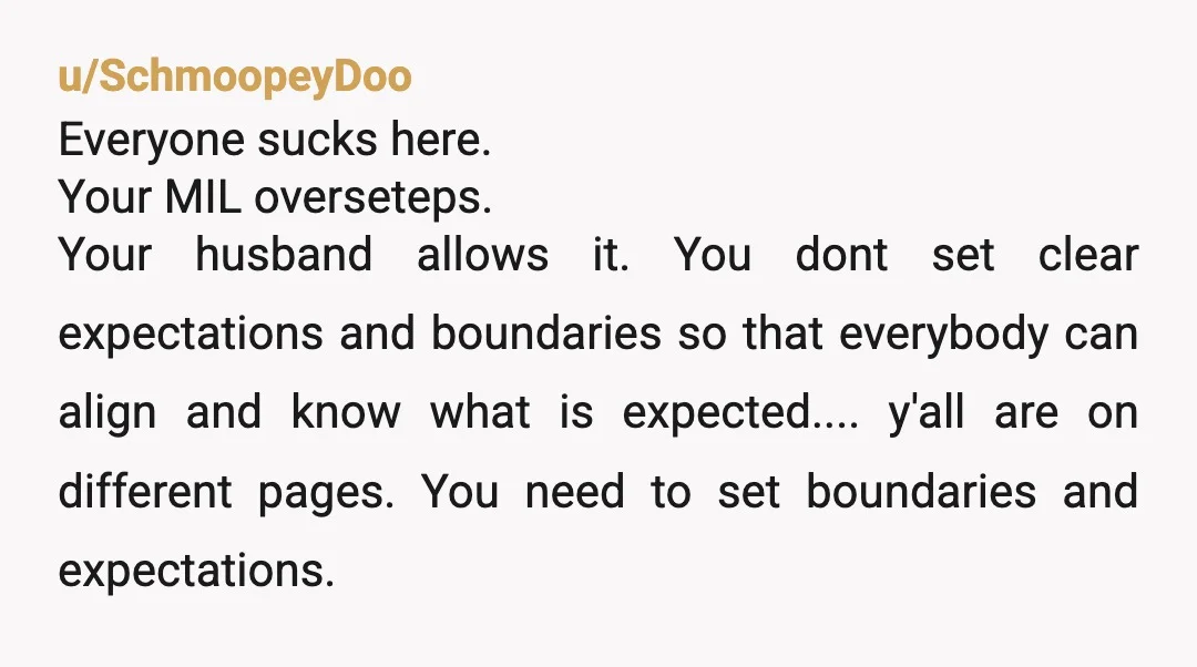 u/SchmoopeyDoo Everyone sucks here. Your MIL overseteps. Your husband allows it. You dont set clear expectations and boundaries so that everybody can align and know what is expected.... y'all are...