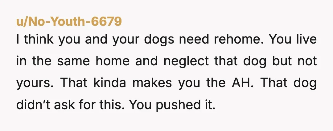 u/No-Youth-6679 I think you and your dogs need rehome. You live in the same home and neglect that dog but not yours. That kinda makes you the AH. That dog...