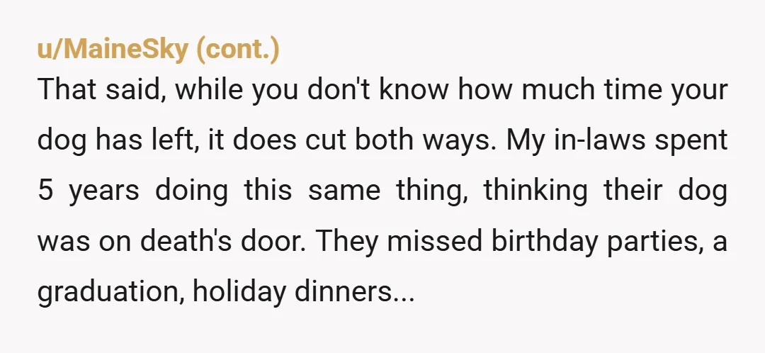 u/DinoSnuggler NTA. I'm not a dog person, but I can read this and see that while you say you're child-free, in reality your dog is your baby, and your dog...