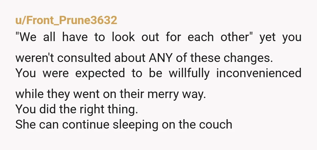 u/Front_Prune3632 "We all have to look out for each other" yet you weren't consulted about ANY of these changes. You were expected to be willfully inconvenienced while they went on...