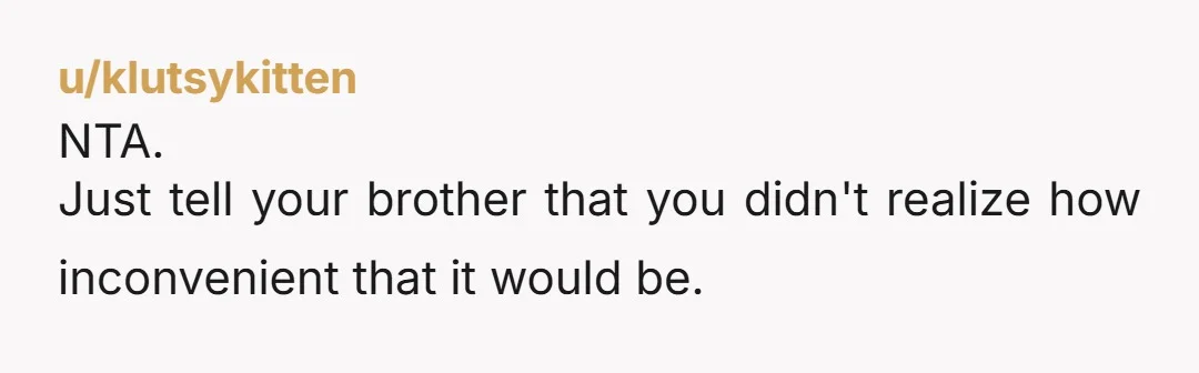 u/klutsykitten NTA. Just tell your brother that you didn't realize how inconvenient that it would be. If the baby is too big to sleep in a smaller bassinet placed on...
