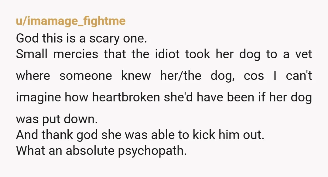 u/imamage_fightme God this is a scary one. Small mercies that the idiot took her dog to a vet where someone knew her/the dog, cos I can't imagine how heartbroken she'd...