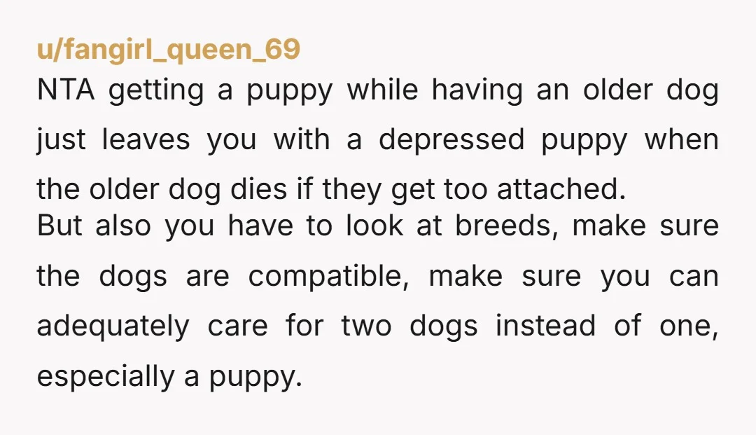 u/LoveAliens_Predators NTA. Your friend is shallow and wants a puppy because of TikTok. There are a lot of people who shouldn’t be in charge of another life (or dictate that...