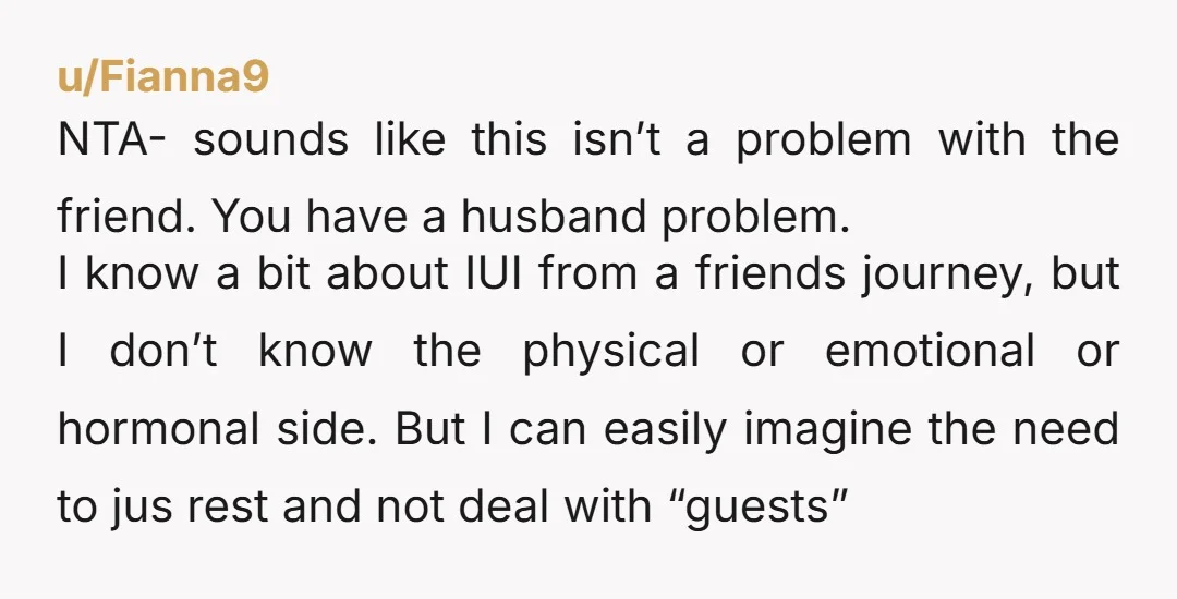 u/Fianna9 NTA- sounds like this isn’t a problem with the friend. You have a husband problem. I know a bit about IUI from a friends journey, but I don’t know...