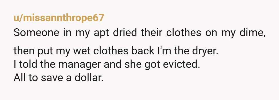 u/Able_Hat_2055 I put a very small clump of cat food in my neighbor’s laundry, because they took my very clean clothes and threw them on the floor, and then put...