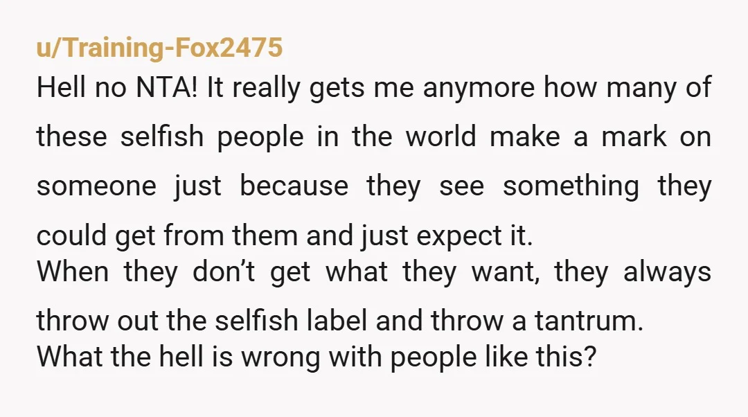 u/Training-Fox2475 Hell no NTA! It really gets me anymore how many of these selfish people in the world make a mark on someone just because they see something they could...