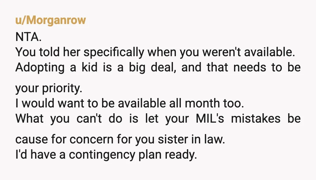 u/PDK112 NTA. Tell your MIL if she does not change the dates and puts SIL on that plane while you are out of town that you will report her to...