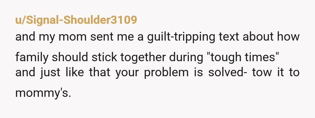 u/Ell-O-Elling Stick to your boundaries. Tell your mother family doesn’t take advantage of family and Dave’s hard times aren’t yours to shoulder. He can figure himself out instead of making...