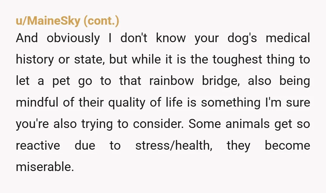 u/OdoDragonfly NTA With the medical considerations, the only thought I would have about being able to "work something out" would be to see whether your vet might have an assistant...