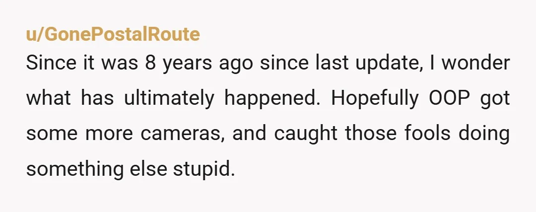 u/GonePostalRoute
Since it was 8 years ago since last update, I wonder what has ultimately happened. Hopefully OOP got some more cameras, and caught those fools doing something else stupid.