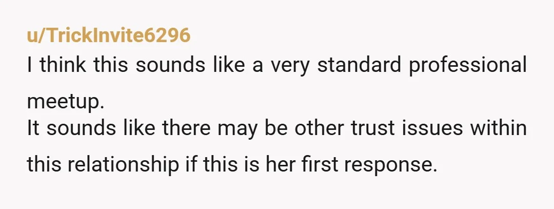 u/TrickInvite6296
I think this sounds like a very standard professional meetup.
It sounds like there may be other trust issues within this relationship if this is her first response.