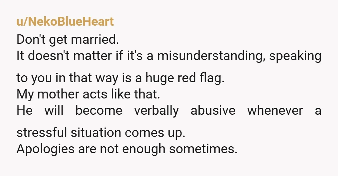 u/NekoBlueHeart Don't get married. It doesn't matter if it's a misunderstanding, speaking to you in that way is a huge red flag. My mother acts like that. He will become...