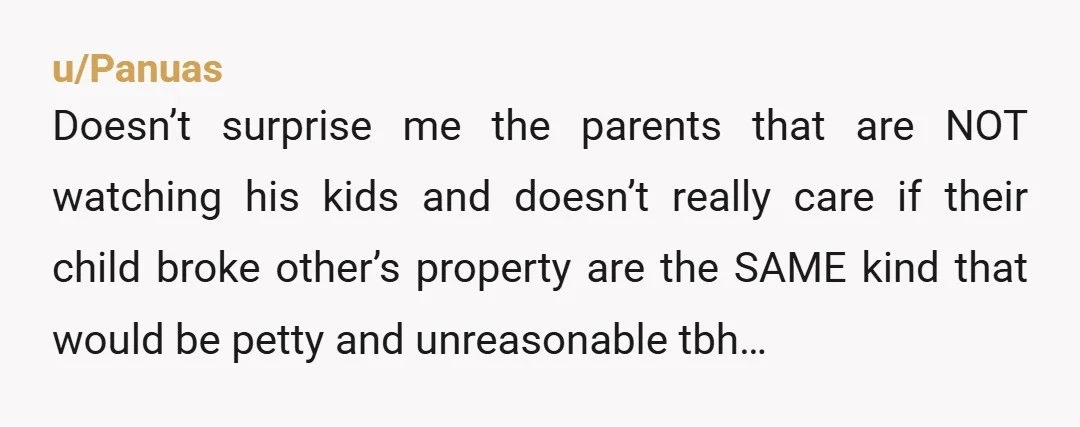 u/Panuas Doesn’t surprise me the parents that are NOT watching his kids and doesn’t really care if their child broke other’s property are the SAME kind that would be petty...