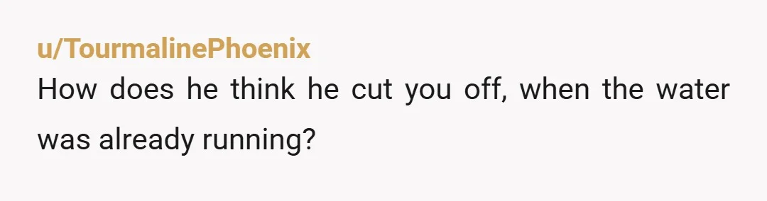 u/TourmalinePhoenix
How does he think he cut you off, when the water was already running?