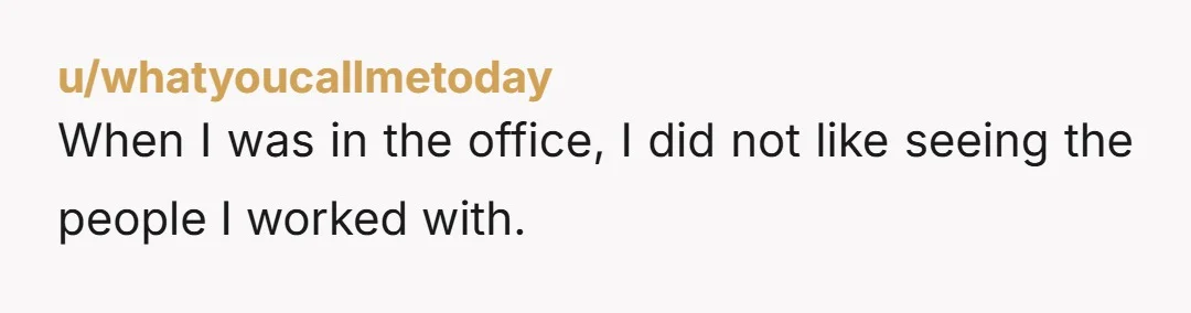 u/MourningCocktails Ugghhh I have a coworker like this. The only time people in my department will turn their cameras on is if their kids want to join in, because of...