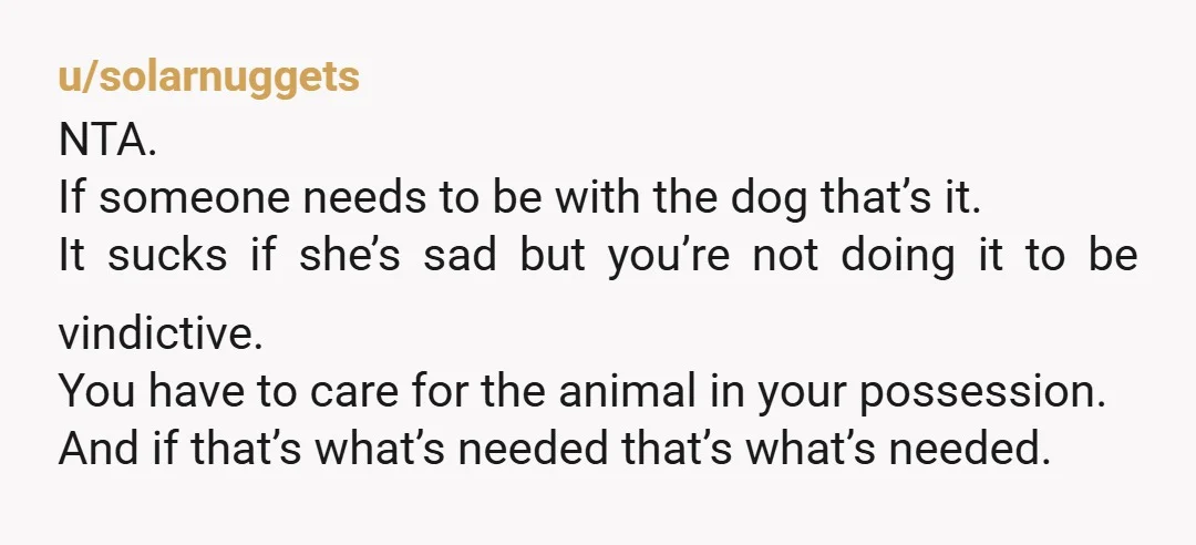 u/Ishcabibbles NTA. You and your husband are living up to the responsibility that comes with having a pet with special needs. Her son will be there, so she should just...