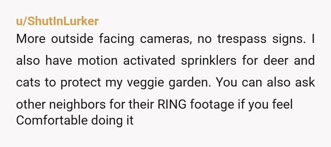 u/ShutInLurker More outside facing cameras, no trespass signs. I also have motion activated sprinklers for deer and cats to protect my veggie garden. You can also ask other neighbors for...
