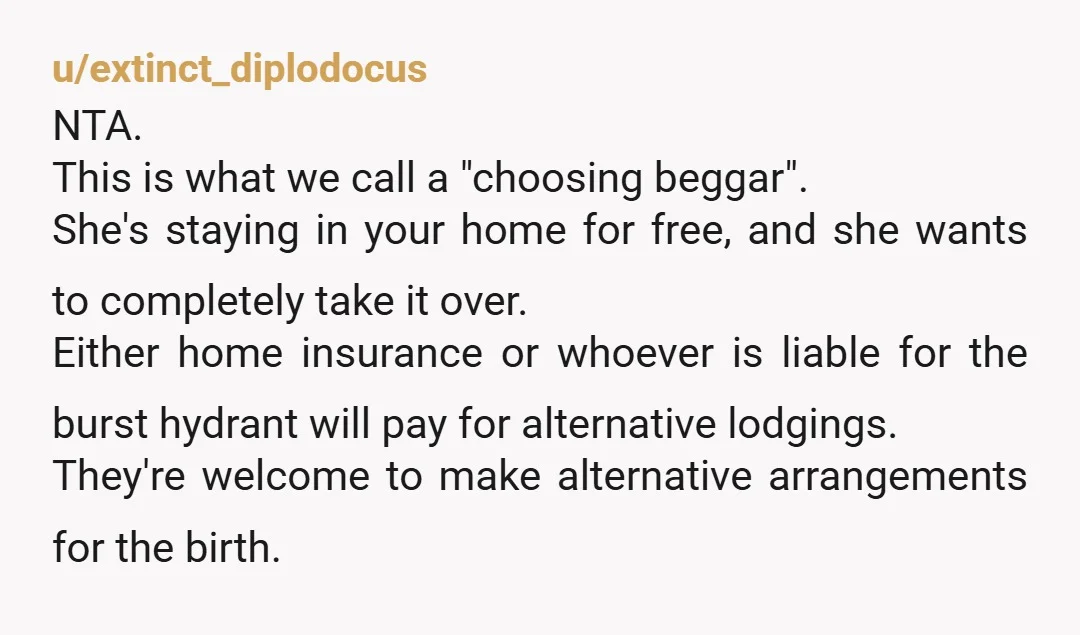u/MarthaT001 NTA There is no way I would allow this in my home, and I'm still in a larger home. I guarantee that there's going to be water all over...