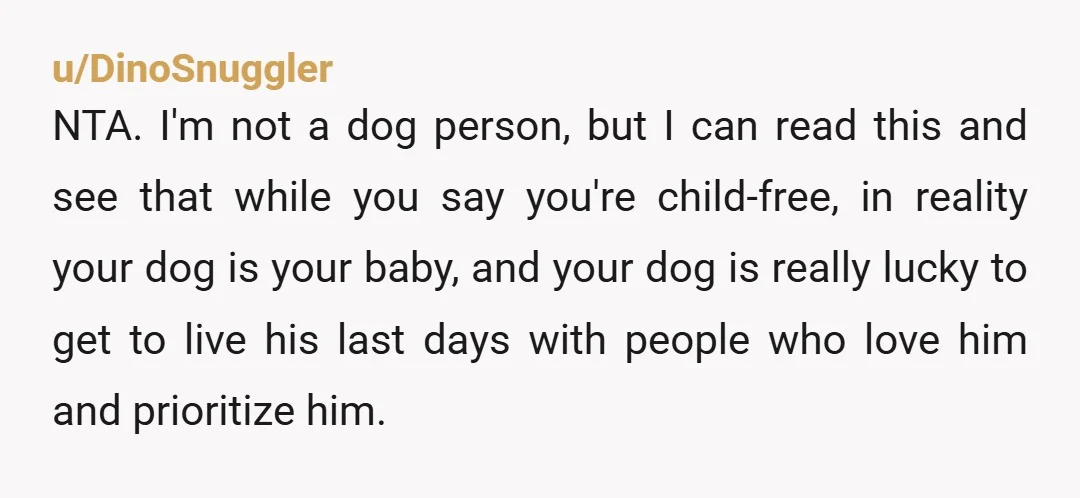 u/IllustriousPart3803 NTA. My husband and I took separate vacations for ten years while we had horses. If you take on the responsibility for pets, you are responsible! During that decade,...