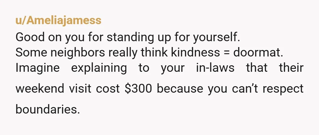 u/Ameliajamess Good on you for standing up for yourself. Some neighbors really think kindness = doormat. Imagine explaining to your in-laws that their weekend visit cost $300 because you can’t...