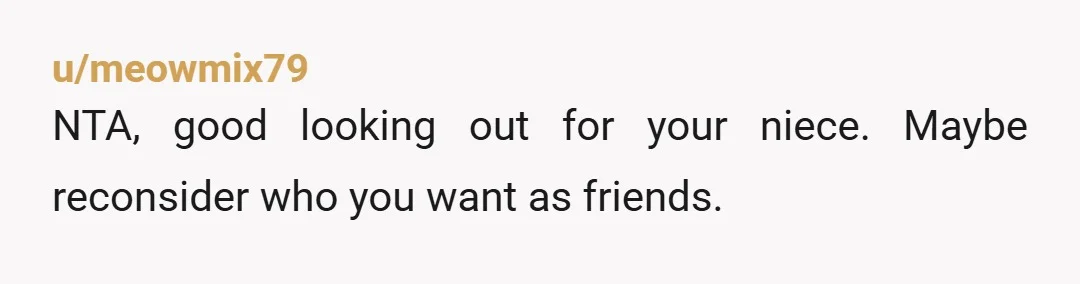 u/meowmix79 NTA, good looking out for your niece. Maybe reconsider who you want as friends.
