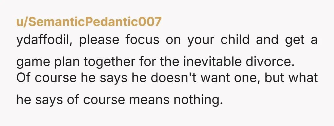 u/SemanticPedantic007 ydaffodil, please focus on your child and get a game plan together for the inevitable divorce. Of course he says he doesn't want one, but what he says of...