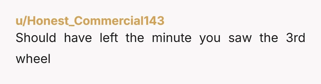 u/Honest_Commercial143 Should have left the minute you saw the 3rd wheel