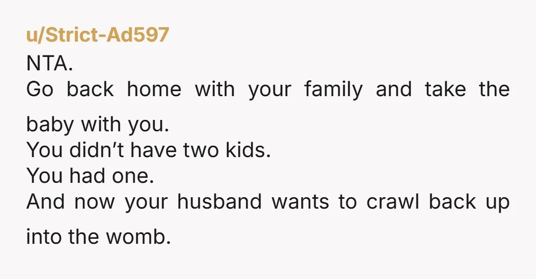 u/Strict-Ad597 NTA. Go back home with your family and take the baby with you. You didn’t have two kids. You had one. And now your husband wants to crawl back...