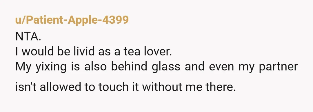 u/GoldInTheSummertime NTA. She helped herself to something without permission and ruined it. You just don't do that.