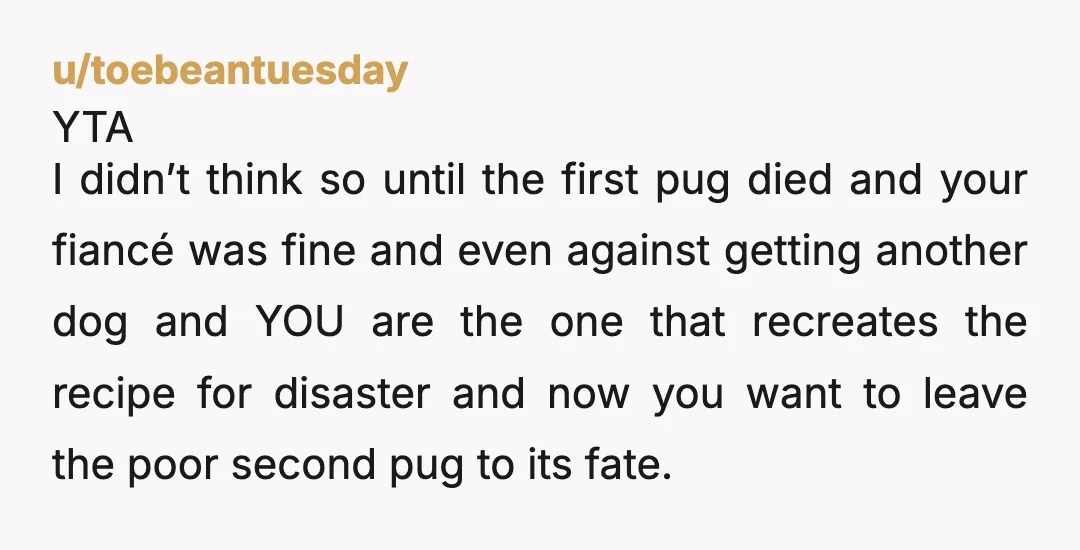 u/ANearbyTerrorist ESH He's clearly a s owner, yet you openly suggested he get another dog.. then are surprised thst he's STILL a s owner? You wouldn't be TA for leaving....