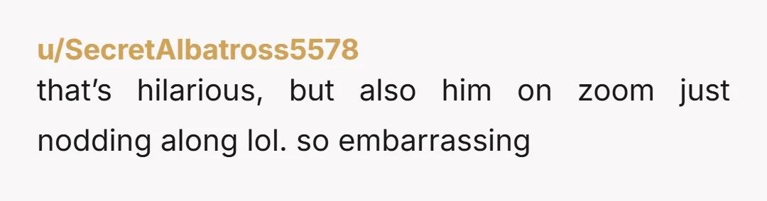 u/SecretAlbatross5578 that’s hilarious, but also him on zoom just nodding along lol. so embarrassing
