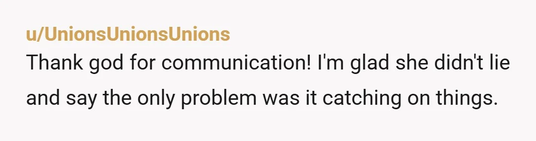u/UnionsUnionsUnions Thank god for communication! I'm glad she didn't lie and say the only problem was it catching on things. 