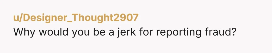 u/Designer_Thought2907 Why would you be a jerk for reporting fraud?