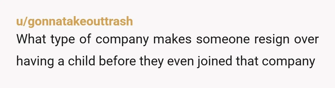 u/gonnatakeouttrash What type of company makes someone resign over having a child before they even joined that company