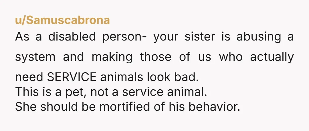 u/Mvfrn1 I know the other commenters have said this but let me phase it differently “Your sister is a big fat LIAR!” You and your family need to confront her...
