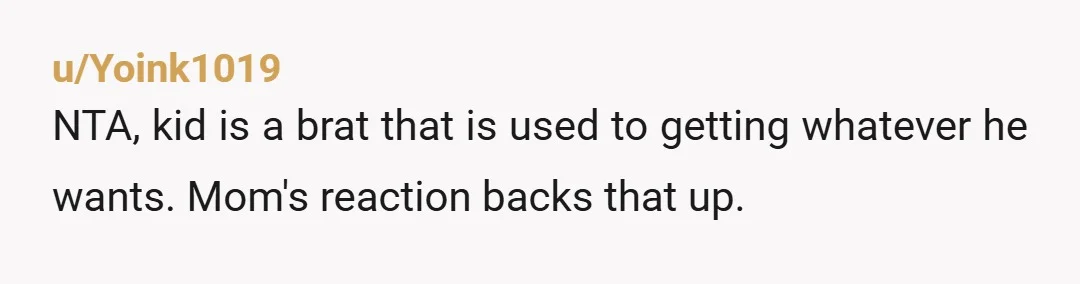 u/Yoink1019
NTA, kid is a brat that is used to getting whatever he wants. Mom's reaction backs that up.