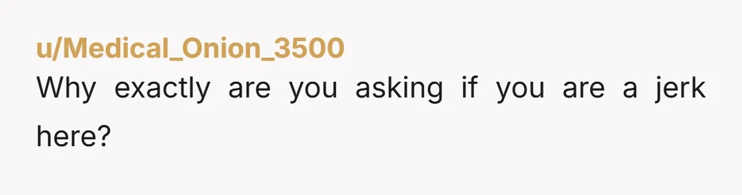 u/Medical_Onion_3500
Why exactly are you asking if you are a jerk here?