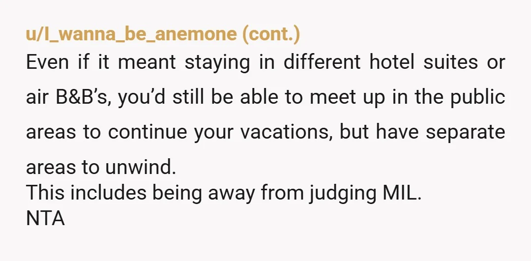 u/Plane_Challenge_2248 I don't think the problem here is different parenting styles or overbearing in laws. The problem is that everyone continues to go on group vacations despite those factors. Sometimes...