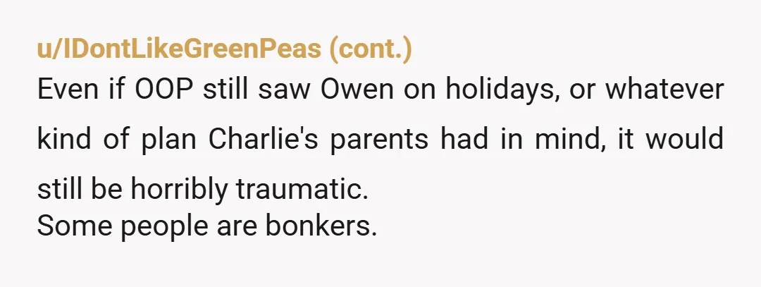u/zephyr_71
If they were indeed banned from fostering/adoption I bet the social worker could smell that they were trouble.