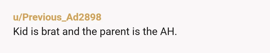 u/Nyx-by-night NTA. Where do these kids get the brass neck? Also I can’t help but wonder if the extra bagel wasn’t sesame seed and the kid hadn’t seen the daughter...