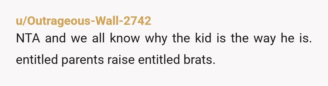 u/TroublesomeFox Hes acting like a brat because his mother clearly lets him act like a brat. If someone was nice enough to order in food for my kid and they...