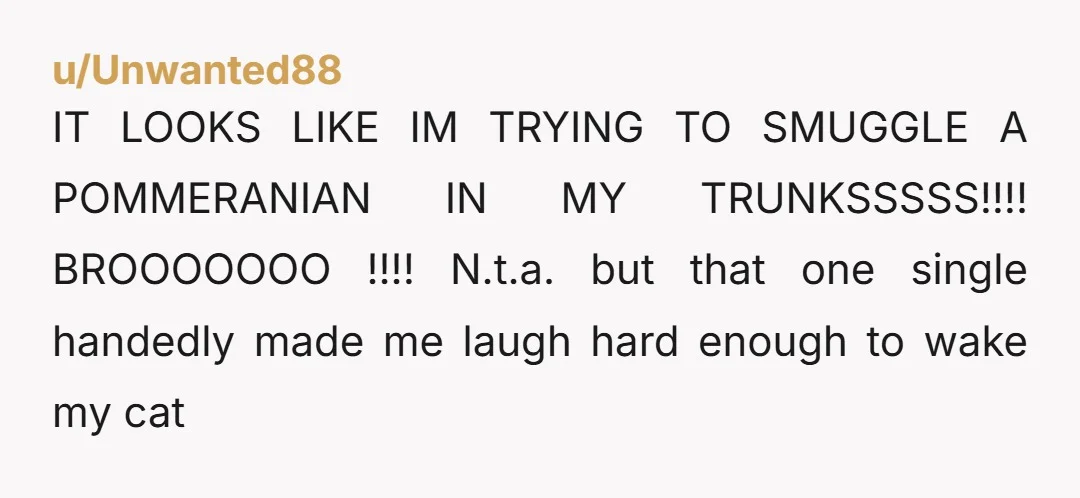 u/Unwanted88 IT LOOKS LIKE IM TRYING TO SMUGGLE A POMMERANIAN IN MY TRUNKSSSSS!!!! BROOOOOOO !!!! N.t.a. but that one single handedly made me laugh hard enough to wake my cat