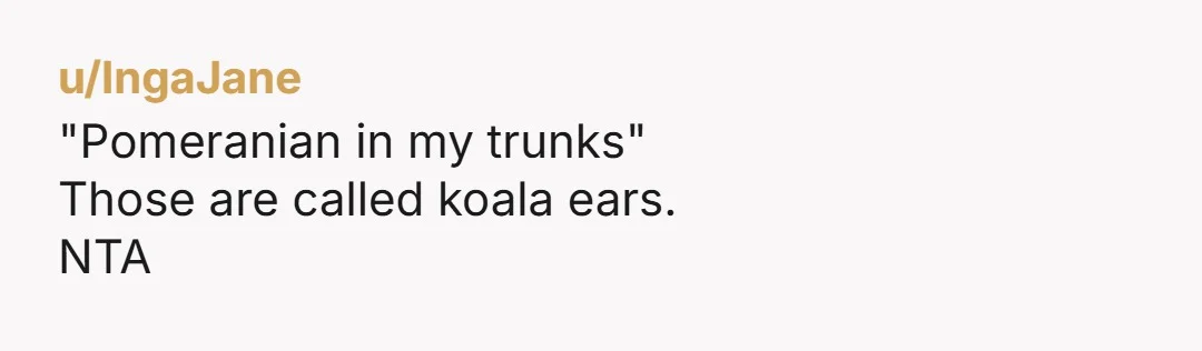u/eternally_feral NTA. Your brother sees work from home jobs not as legitimate as his office job.