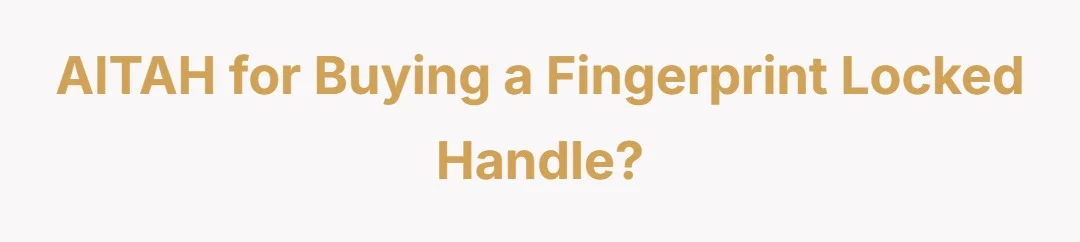 AITAH for buying a fingerprint locked handle.?