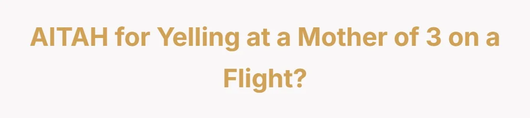 AITAH for yelling at a mother of 3 on a flight?