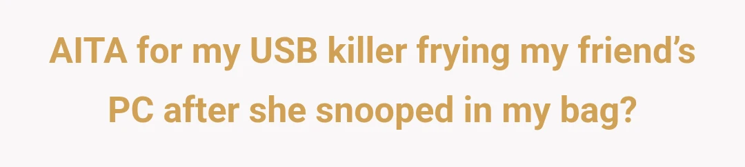 AITA for my USB killer frying my friend’s PC after she snooped in my bag?