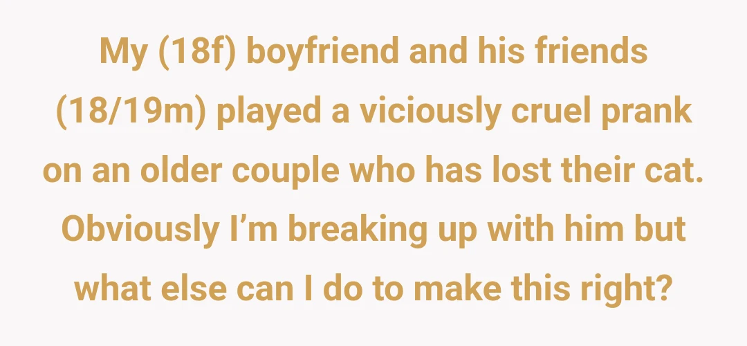 My (18f) boyfriend and his friends (18/19m) played a viciously cruel prank on an older couple who has lost their cat. Obviously I’m breaking up with him but what else can I do to make this right?