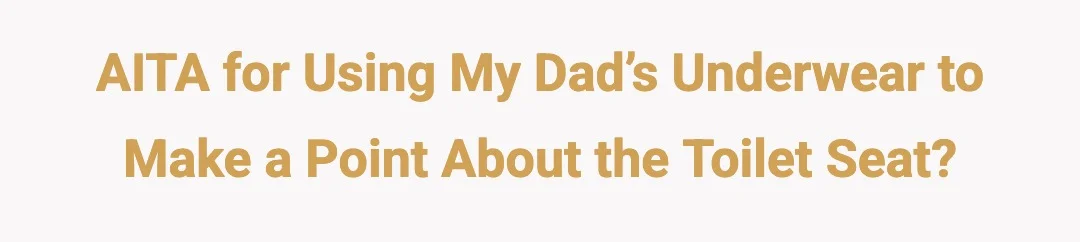 AITA for using my dad’s underwear to make a point about the toilet seat?