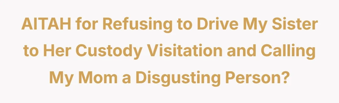 AITAH for refusing to drive my sister to her custody visitation and calling my mom a disgusting person?
