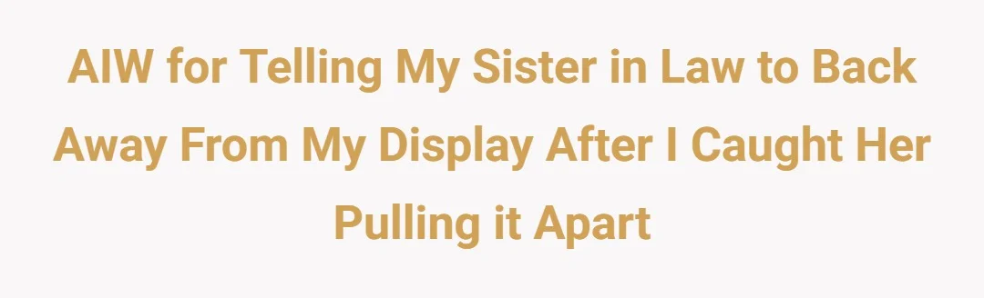 AIW for telling my sister in law to back away from my display after I caught her pulling it apart